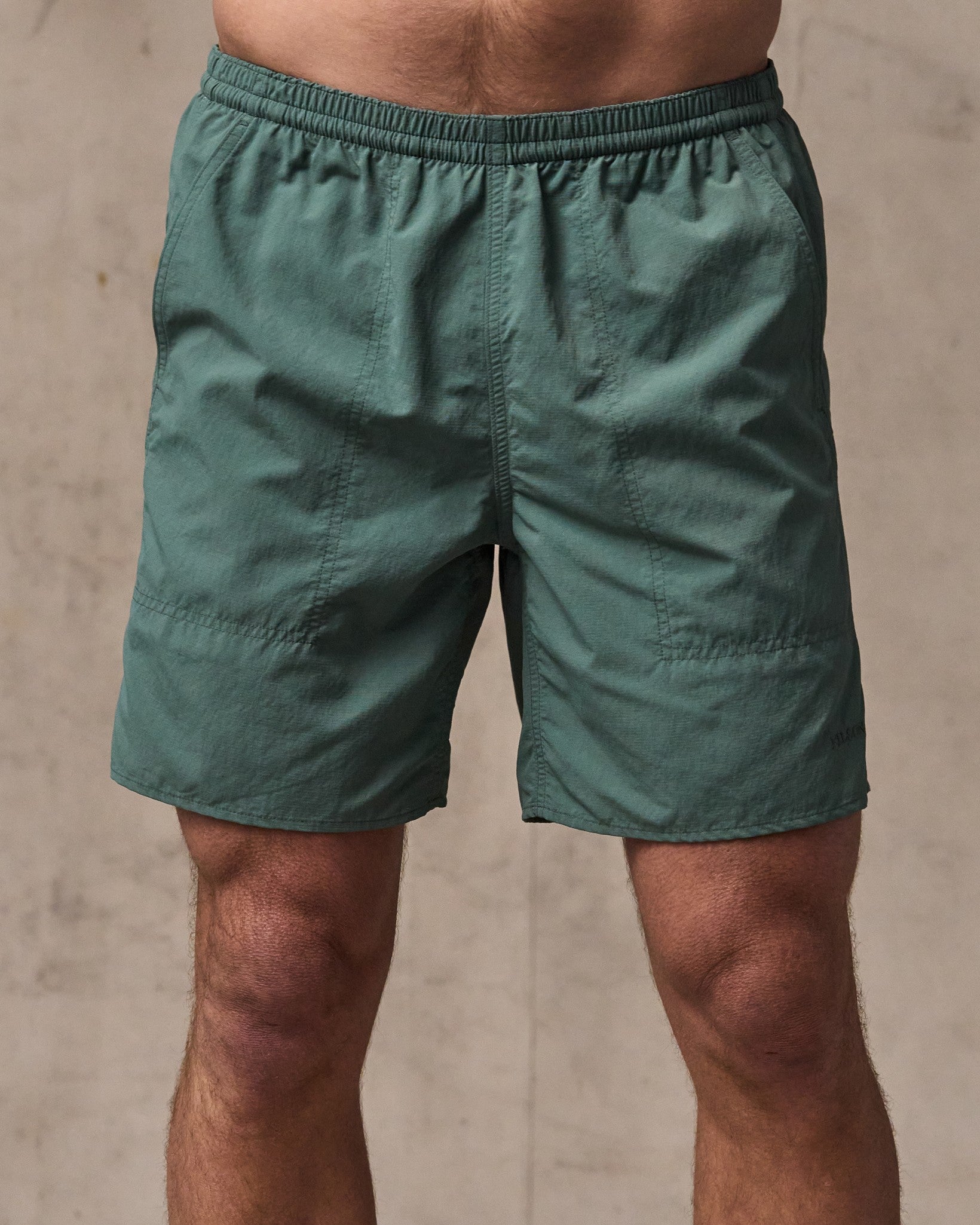 Oxbow Lake Trunks - Dark Forest